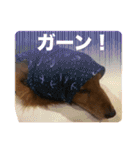 かふぇ太郎（個別スタンプ：18）