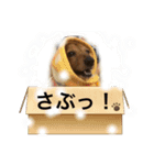 かふぇ太郎（個別スタンプ：19）