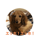 かふぇ太郎（個別スタンプ：24）