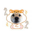 はなのスタンプ① 普段用（個別スタンプ：9）