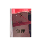 写真の鳩5（個別スタンプ：3）