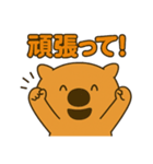 ウォンバットなのか？（個別スタンプ：11）