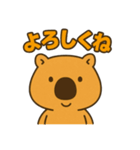 ウォンバットなのか？（個別スタンプ：16）