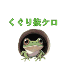 カエルのけろけろ大作戦！スタンプ（個別スタンプ：2）