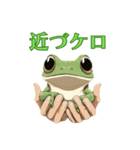 カエルのけろけろ大作戦！スタンプ（個別スタンプ：13）
