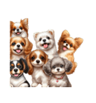 ❤️子犬たちからの飛び出すメッセージ❤️（個別スタンプ：20）