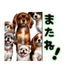 ❤️子犬たちからの飛び出すメッセージ❤️（個別スタンプ：24）