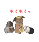 うさぽんの春夏スタンプ（個別スタンプ：3）