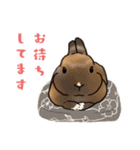 うさぽんの春夏スタンプ（個別スタンプ：10）