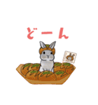 うさぽんの春夏スタンプ（個別スタンプ：13）