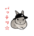 うさぽんの春夏スタンプ（個別スタンプ：16）