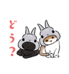 うさぽんの春夏スタンプ（個別スタンプ：17）