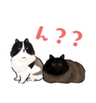 うさぽんの春夏スタンプ（個別スタンプ：19）