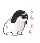 うさぽんの春夏スタンプ（個別スタンプ：35）