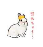 うさぽんの春夏スタンプ（個別スタンプ：36）