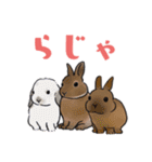 うさぽんの春夏スタンプ（個別スタンプ：38）