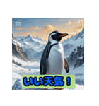 ペンギンシリーズtoki（個別スタンプ：1）