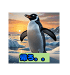 ペンギンシリーズtoki（個別スタンプ：5）