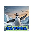 ペンギンシリーズtoki（個別スタンプ：12）