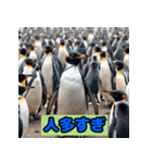 ペンギンシリーズtoki（個別スタンプ：13）