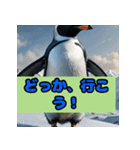 ペンギンシリーズtoki（個別スタンプ：15）