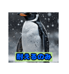 ペンギンシリーズtoki（個別スタンプ：19）