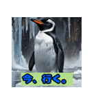 ペンギンシリーズtoki（個別スタンプ：21）