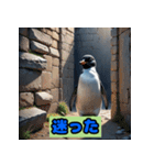 ペンギンシリーズtoki（個別スタンプ：24）