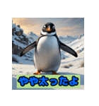 ペンギンシリーズtoki（個別スタンプ：30）