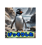 ペンギンシリーズtoki（個別スタンプ：33）
