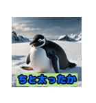 ペンギンシリーズtoki（個別スタンプ：36）