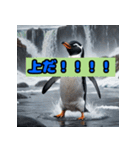 ペンギンシリーズtoki（個別スタンプ：38）
