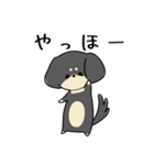 ゆるゆるダックスタンプ（個別スタンプ：3）