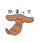 ゆるゆるダックスタンプ（個別スタンプ：4）