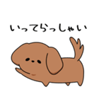 ゆるゆるダックスタンプ（個別スタンプ：7）