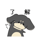 ゆるゆるダックスタンプ（個別スタンプ：11）