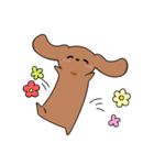 ゆるゆるダックスタンプ（個別スタンプ：18）