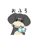 ゆるゆるダックスタンプ（個別スタンプ：21）