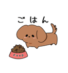 ゆるゆるダックスタンプ（個別スタンプ：22）