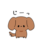 ゆるゆるダックスタンプ（個別スタンプ：32）