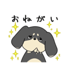 ゆるゆるダックスタンプ（個別スタンプ：37）