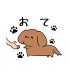 ゆるゆるダックスタンプ（個別スタンプ：38）