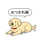 ゴールデンレトリバー (クリーム)（個別スタンプ：2）