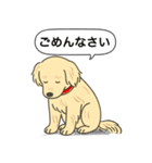 ゴールデンレトリバー (クリーム)（個別スタンプ：4）