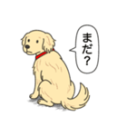 ゴールデンレトリバー (クリーム)（個別スタンプ：7）