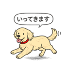 ゴールデンレトリバー (クリーム)（個別スタンプ：8）