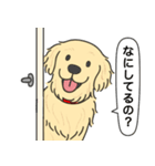 ゴールデンレトリバー (クリーム)（個別スタンプ：19）