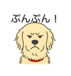 ゴールデンレトリバー (クリーム)（個別スタンプ：23）