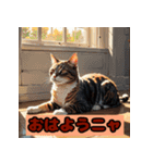 かわいい猫のスタンプok（個別スタンプ：6）