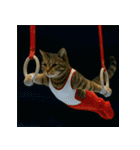 猫たちがスポーツに挑戦（個別スタンプ：5）